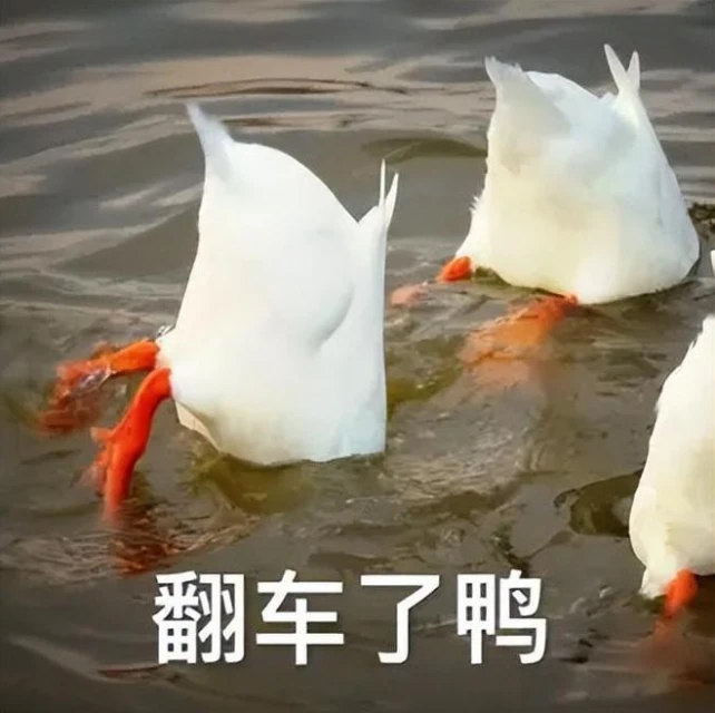 《百面千相》實機效果狠狠超預期,這可能是今年最能打的國產手游