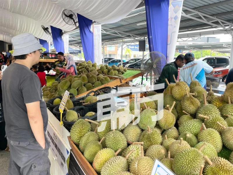 榴槤鮮果料9月出口中國 不影響本地榴槤供應及價格