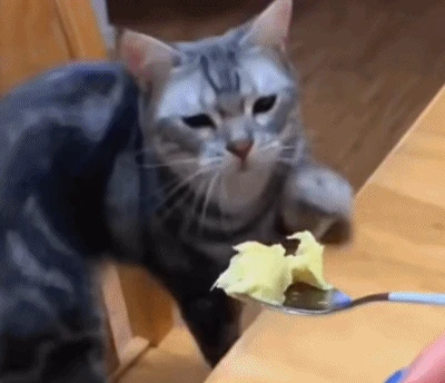 米哈游翻車了?《絕區零》節奏不止,到底哪出問題了?