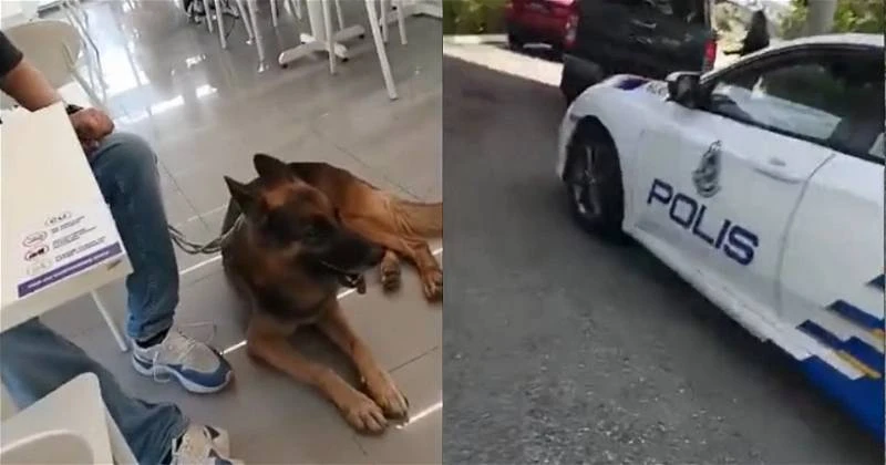 男子帶狗逛便利店惹議 店員勸戒無效被逼報警送客