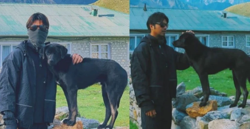 攀珠峰時摸狗遭網民批判 馬來男演員:它在守護登山客